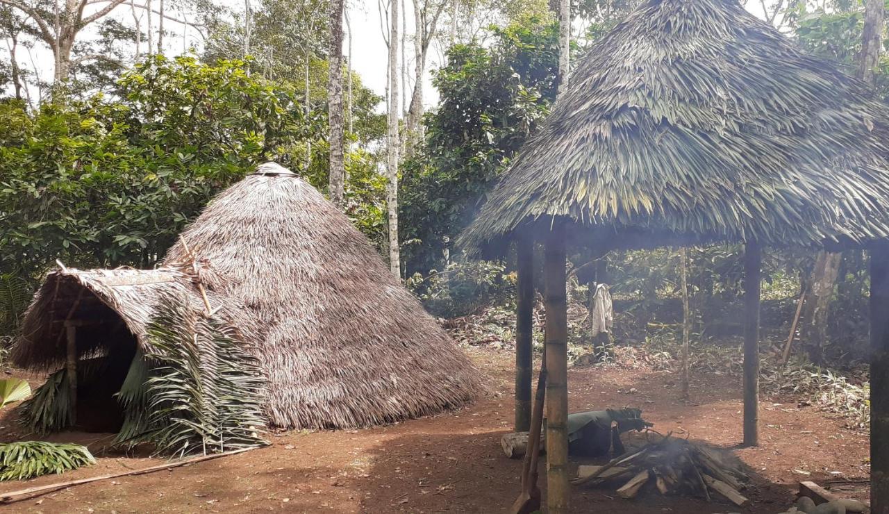 Shipati Lodge Misahualli Bagian luar foto